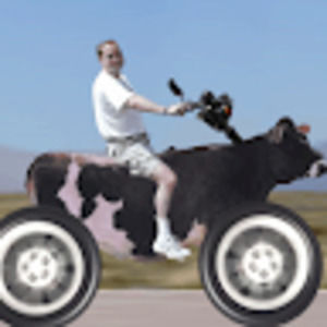 Meet your Posher, Vidalyn